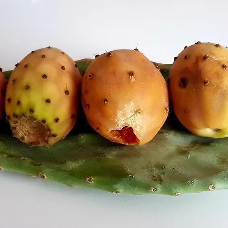 Appartamenti Porto Azzurro דירה פורטו אזורו