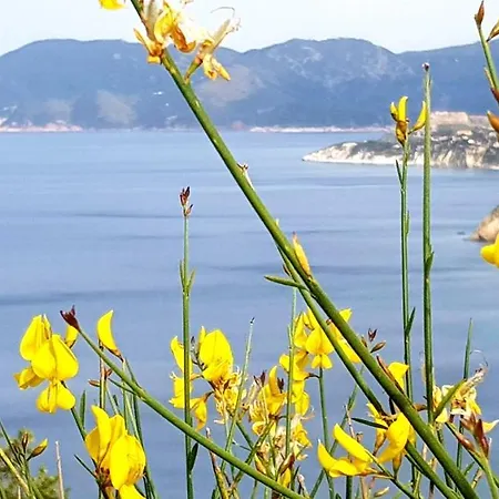 Appartamenti Porto Azzurro דירה