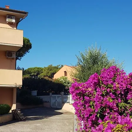 דירה Appartamenti Porto Azzurro *
